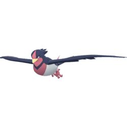 swellow serebii.